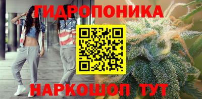 индика Ликино-Дулёво