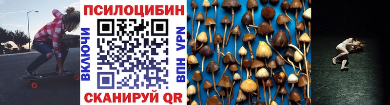 Галлюциногенные грибы MAGIC MUSHROOMS  купить наркоту  Елец 