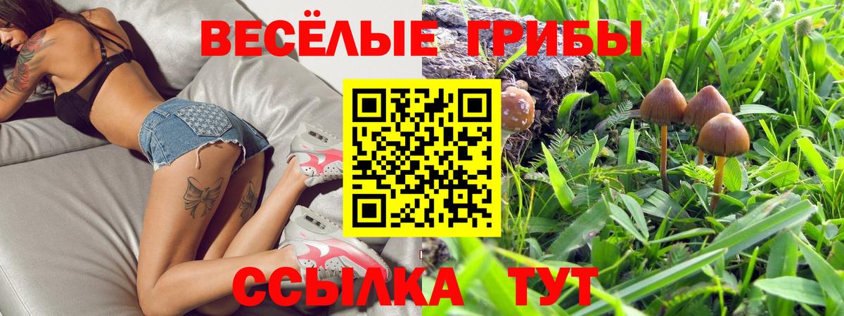 Галлюциногенные грибы GOLDEN TEACHER Елец