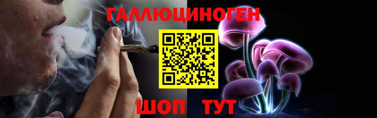 Галлюциногенные грибы Magic Shrooms  Псилоцибиновые грибы ЛСД  Елец  что такое   Вход с VPN 